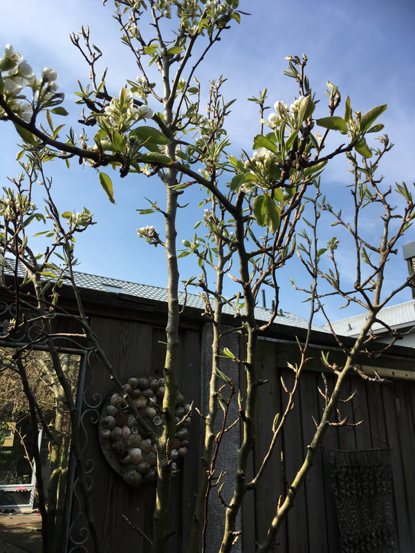 6CE0DB43-407B-4FD4-A87E-DC060751058F