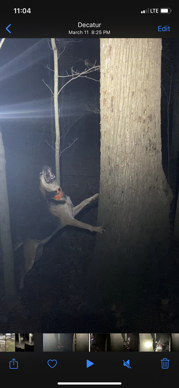 2F31EDC7-FC6D-4EE6-BEDE-D4CA0DFDFE90