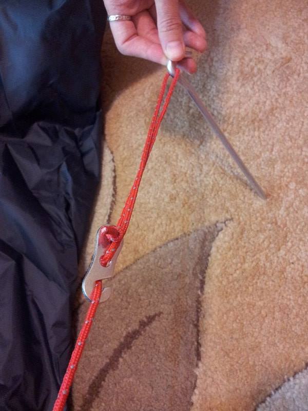 13493046_1026451980743556_232764195_n