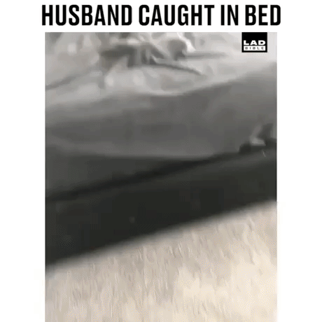 https://i.postimg.cc/3NMY082V/8.gif