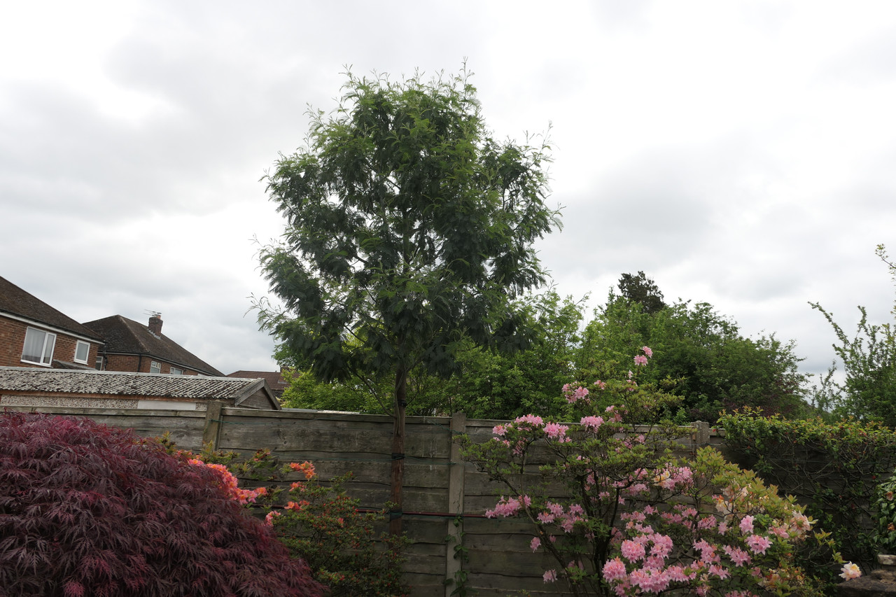 P1040497