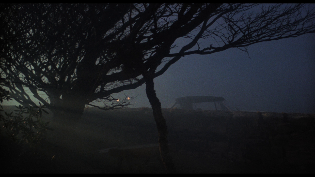 vlcsnap-2023-09-24-16h00m06s299