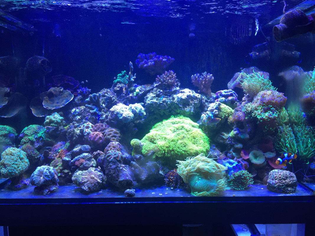 073F69DA-8C93-4CFF-998C-2402FA07652F