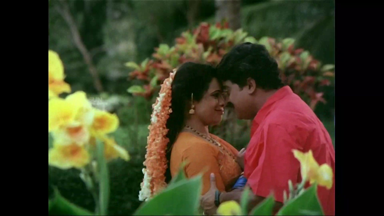 vlcsnap 2025 11 04 09h38m22s601