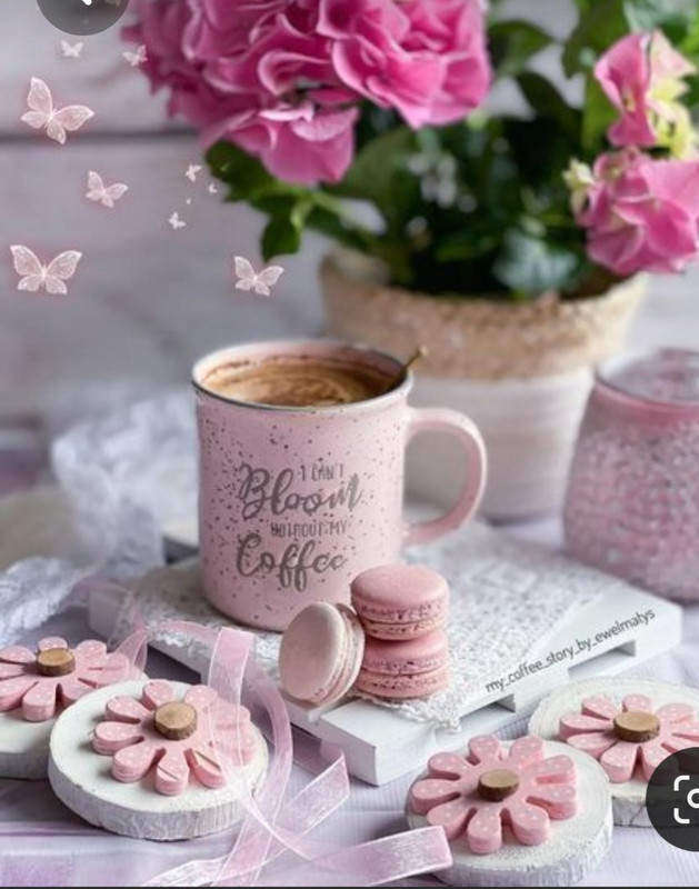 Screenshot_20230312_213656_Pinterest