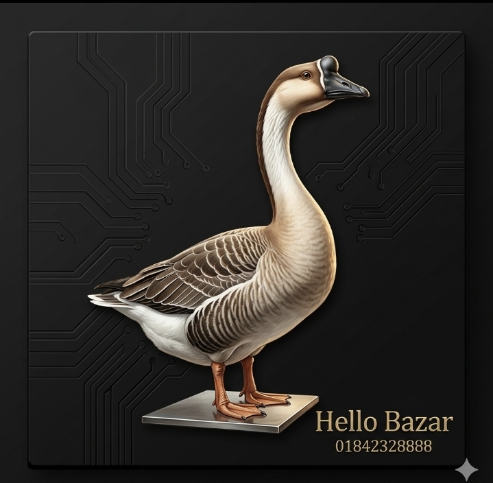 রাজহাঁস