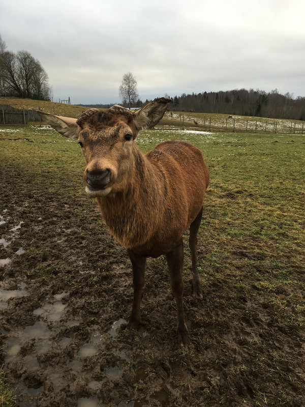 454B8CEB-6F9F-4EE5-B0DC-4D0EC8CA32AF