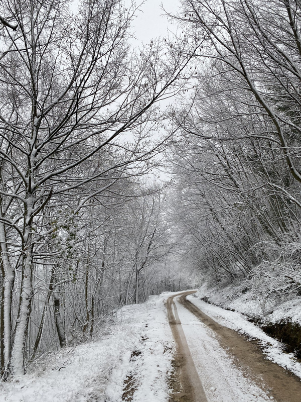 88E3DD73-83C5-420E-B25D-D0CA41078FE8