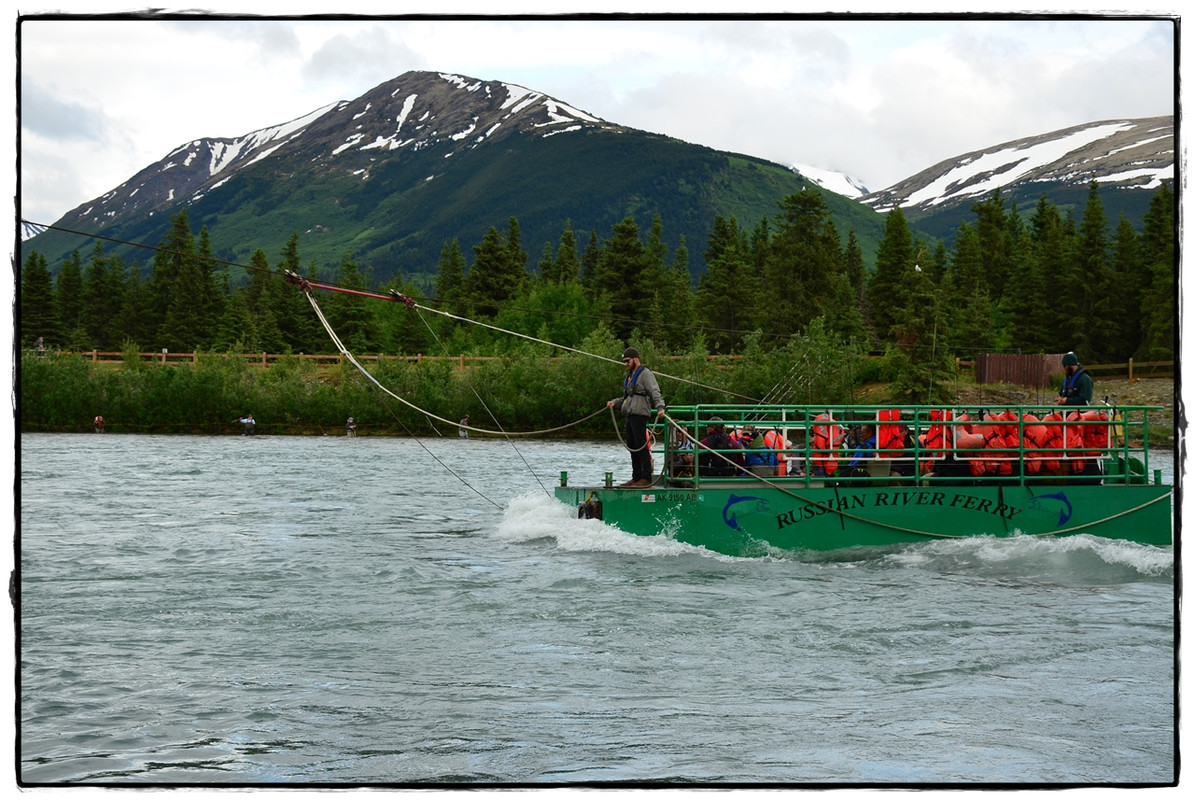 19 de junio. Osos a porrón en Lake Clark National Park - Alaska por tierra, mar y aire (22)
