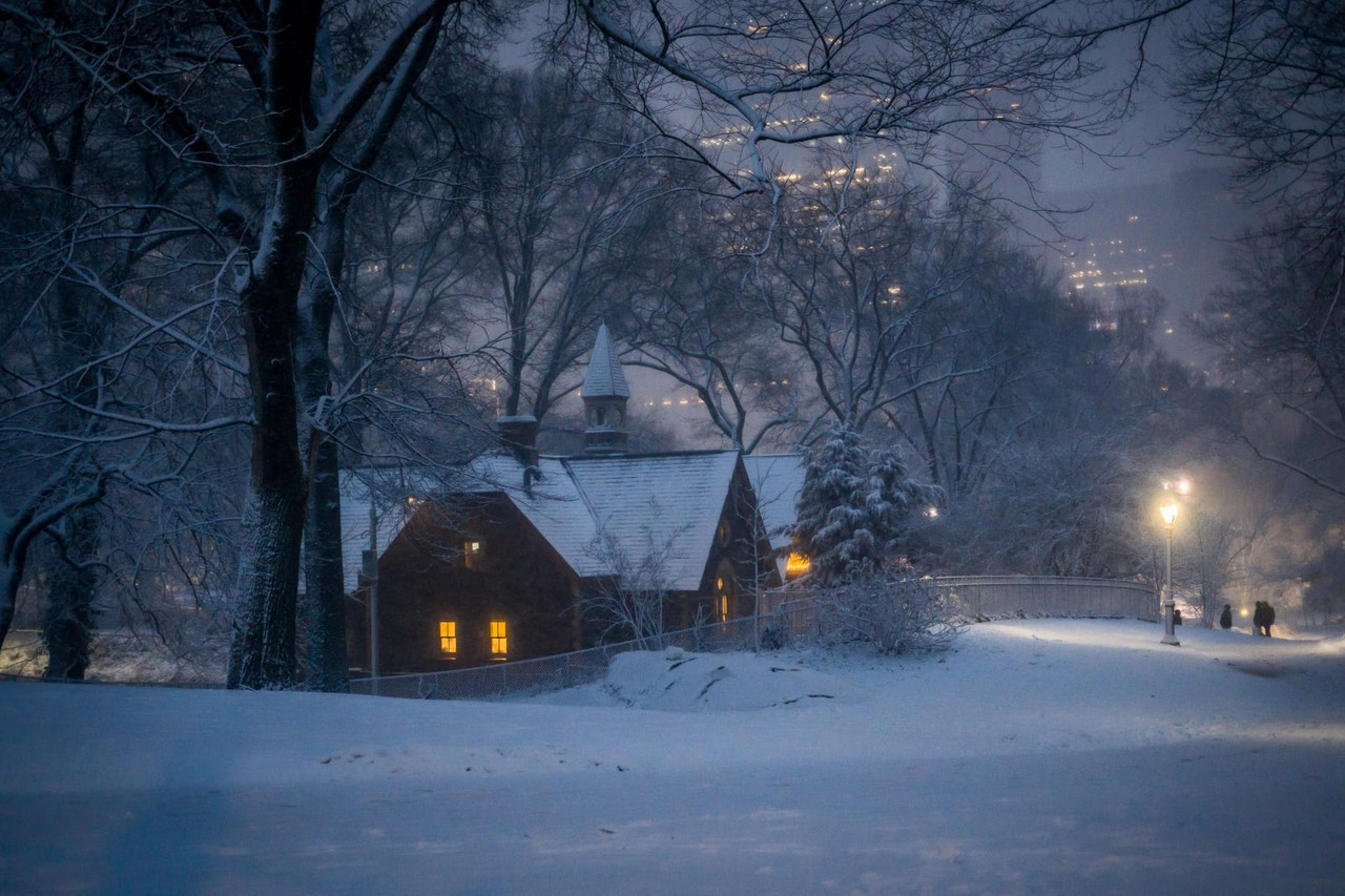 central park snow (4)