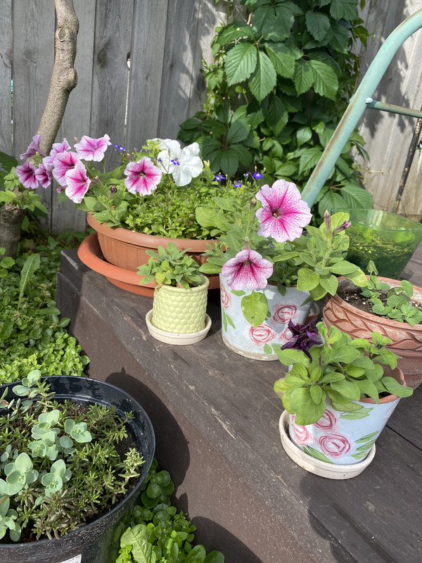 2A6EBA7B-29FD-4668-8681-A414A0D57016