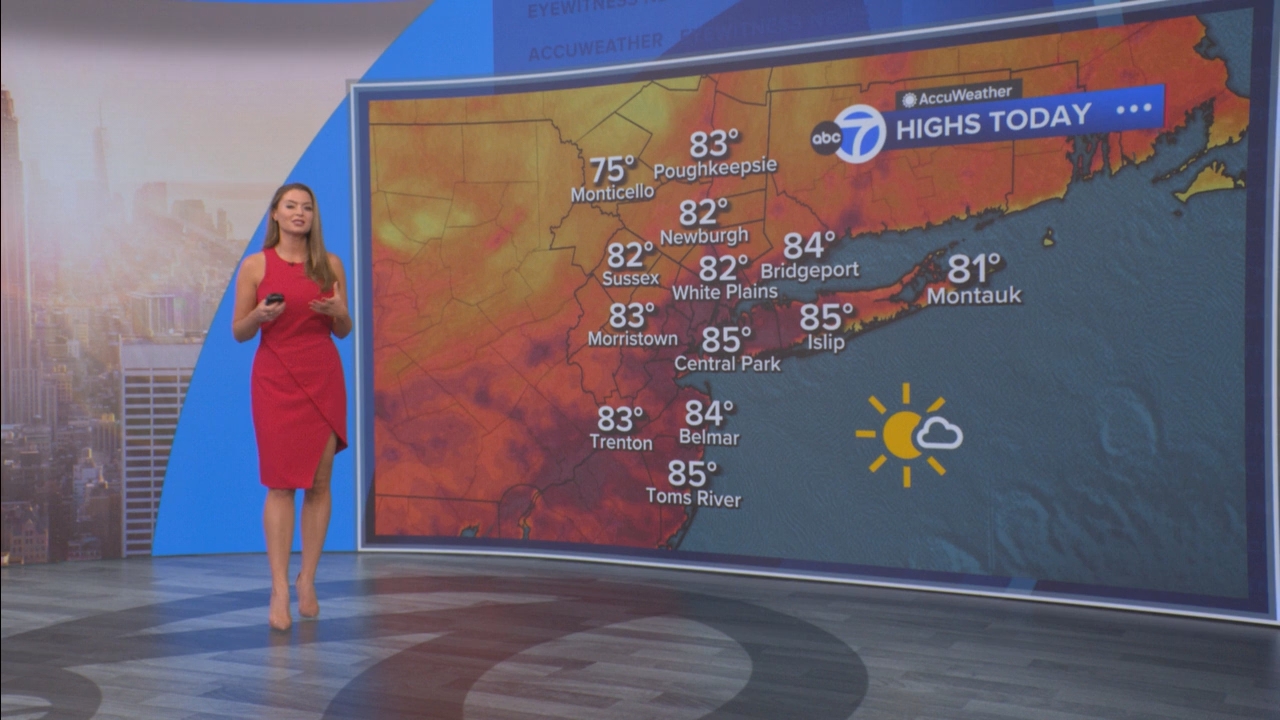 Eyewitness News Mornings at 10_20250620_15001600.ts_snapshot_00.44.21.242