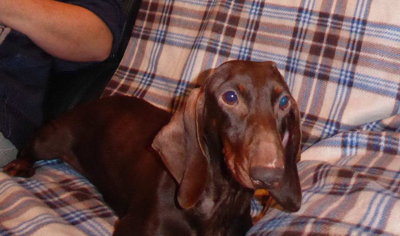 [Image: P1040353.jpg]