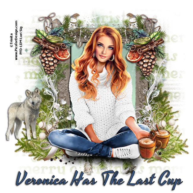 6380877723196233721668156