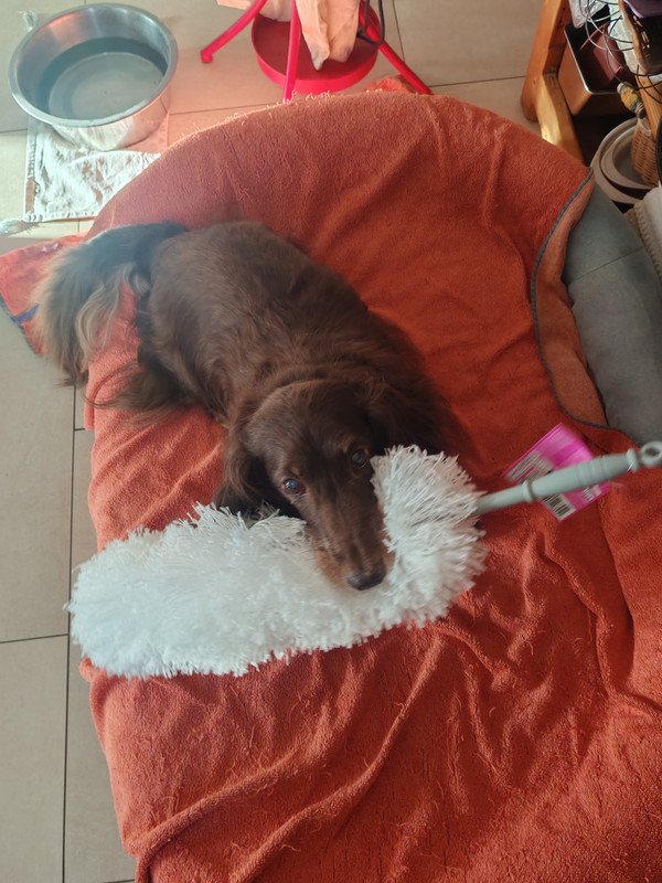 [Image: IMG-20251212-094736.jpg]