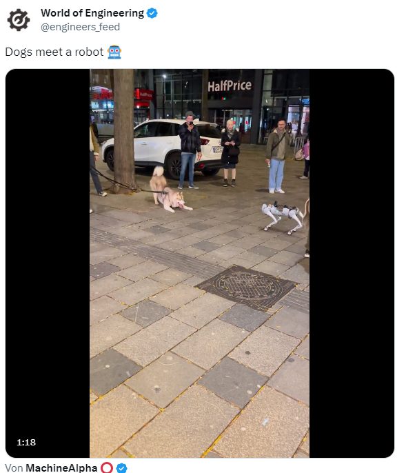 Hunde-Roboter trifft auf Hunde