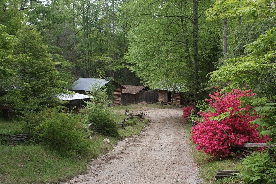 Georgia cabin rentals 