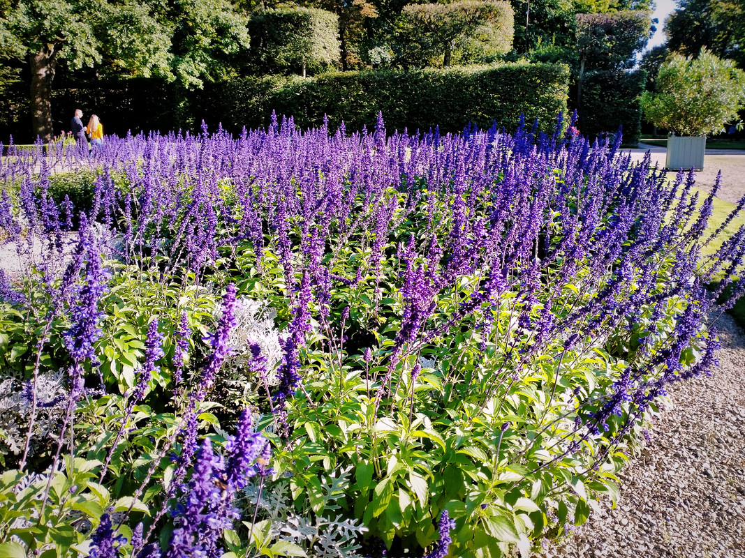 020 - IMG_20210904_185139