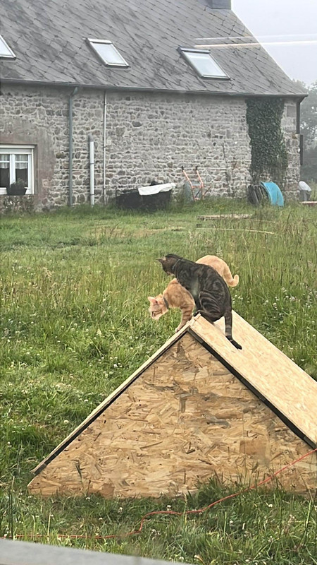 received_223161887201322