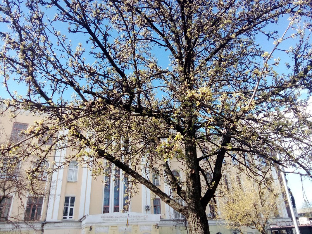 photo_2025-04-05 7.16.19 пп