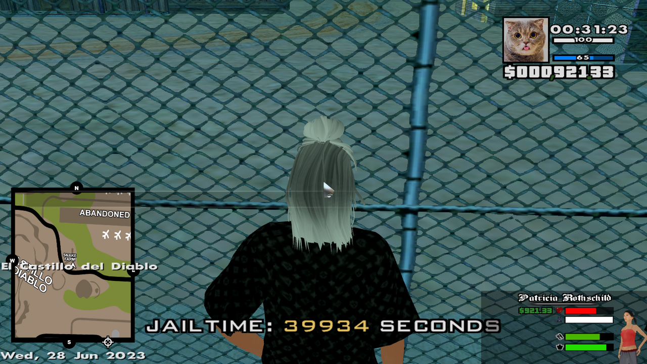 samp-28-06-2023-00-31-23.png