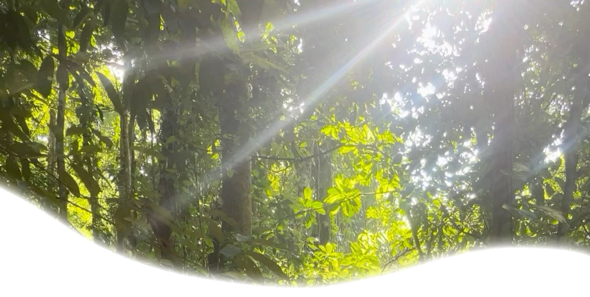 header