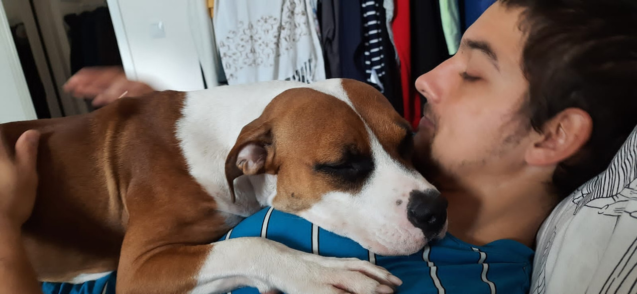 F967B40C-2DB1-41FC-9F3E-72A5B8124D82