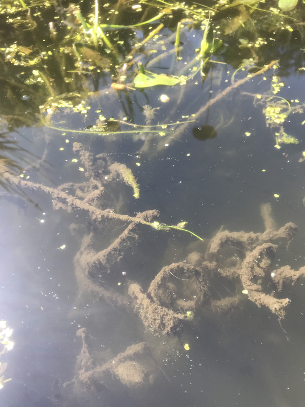 89880C07-0FEB-4E0F-9E6F-49562147CDE6