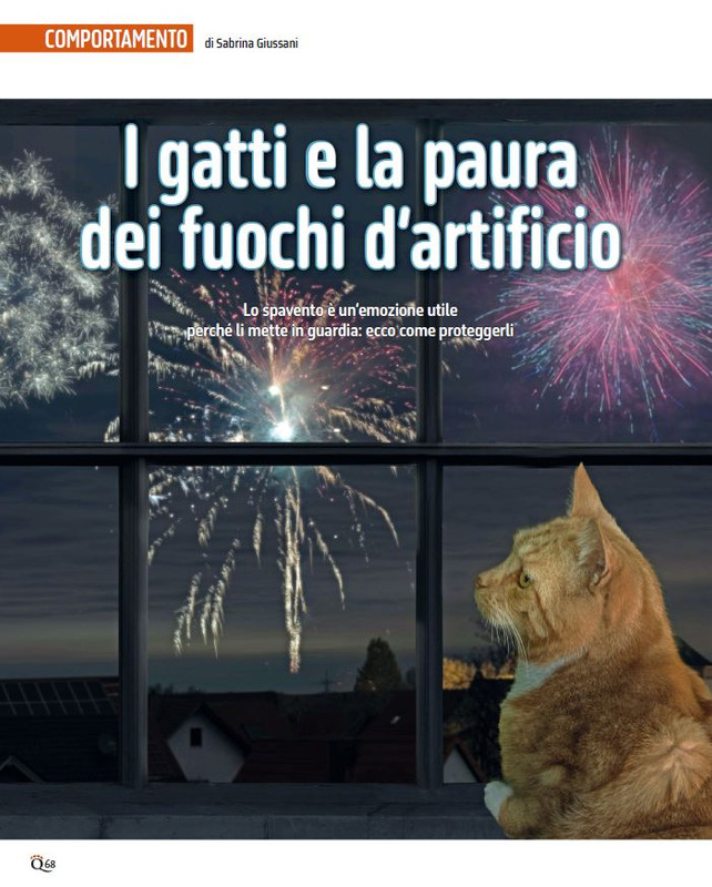 QuattroZampe Dic 2024-Gen 2025 (3)