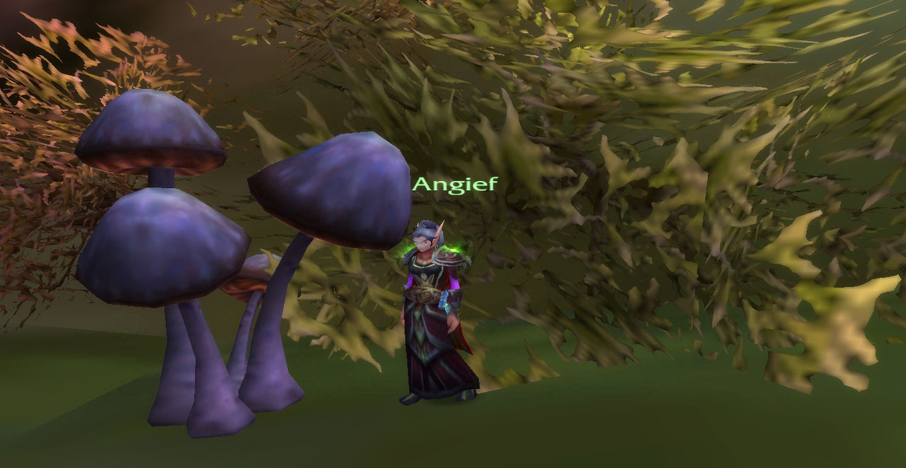 WoWScrnShot_122423_091646