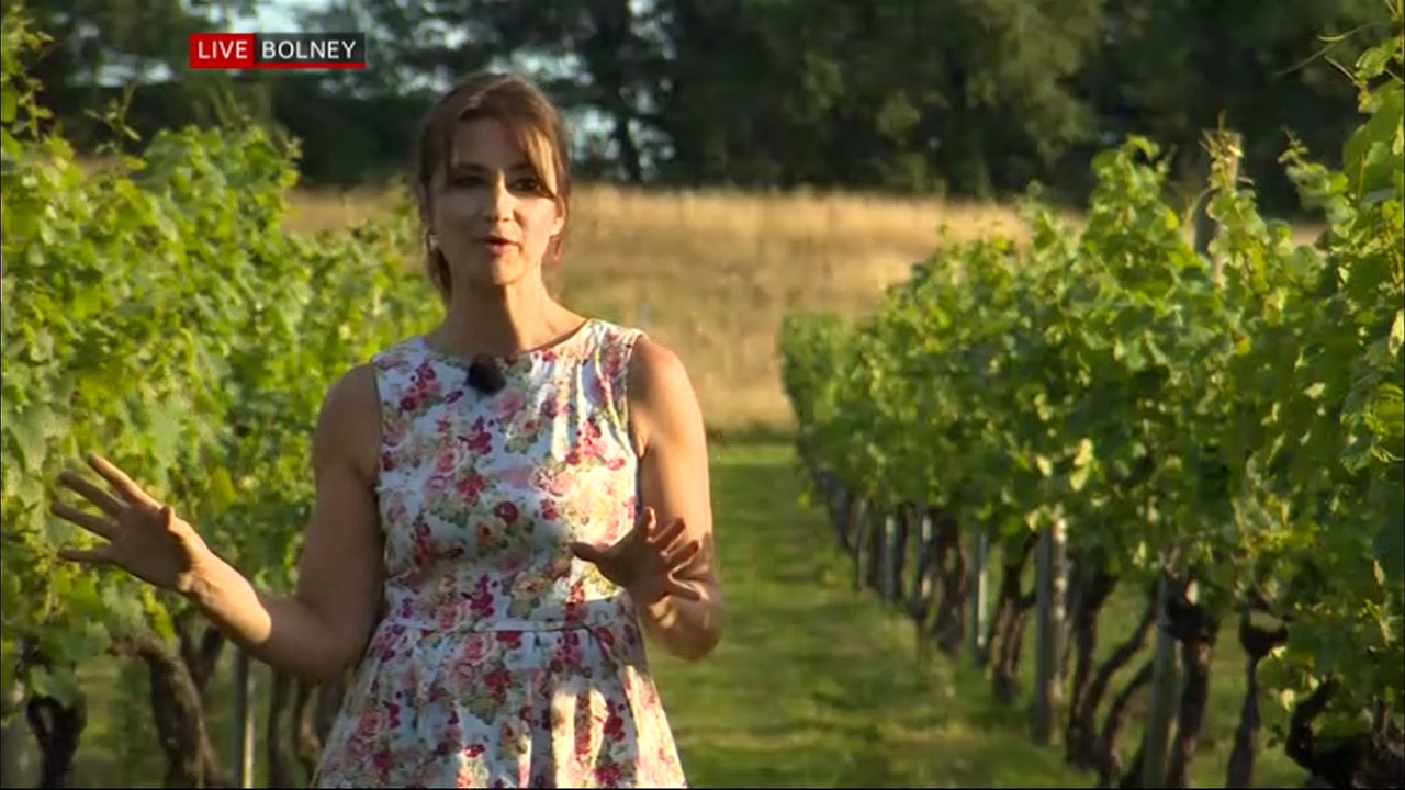 08 16 18 30 01 South East Today Weather South East Today Weath Ts 08-16-18-30-01-south-east-today-weather-south-east-today-weath-ts