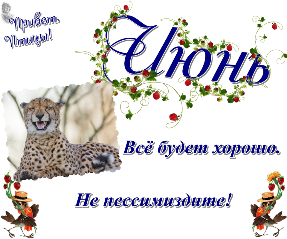 https://i.postimg.cc/3NRKgWgP/24-06.png