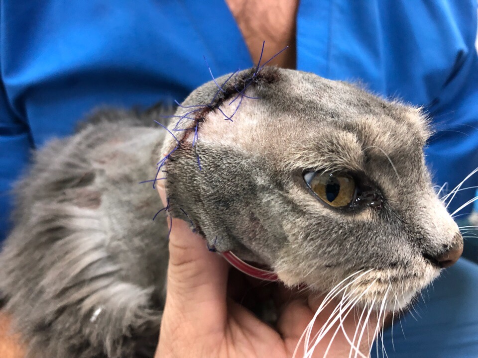 4ADA5B20-4BB0-4280-9DFC-E35F90B9B5B8