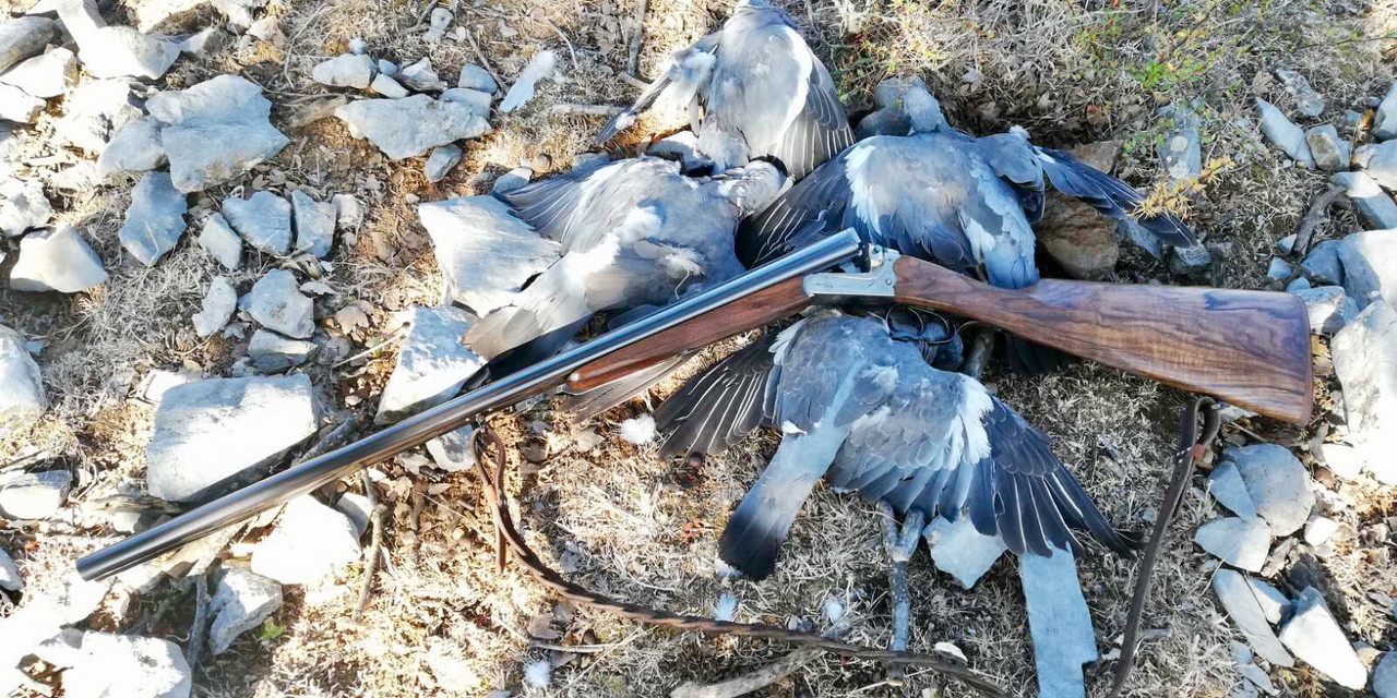 3FB74712-BC30-42C3-8EE6-A46E6CB1E7AE