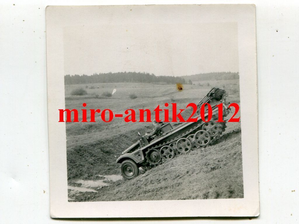 Foto, Wehrmacht, Halbkette, Sdkfz, im Gelände, N