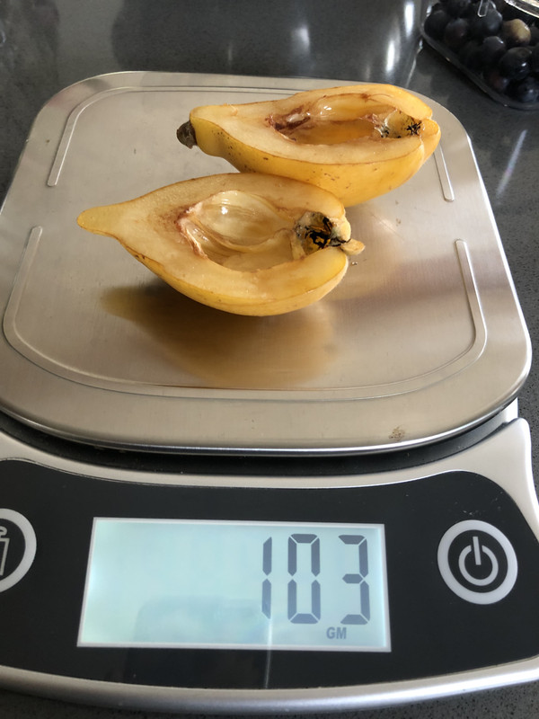 7F64EAF3-26F8-4BE1-88B9-FA2C392B5DD5