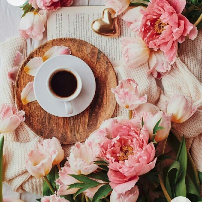 Screenshot_20221227_005713_Chrome