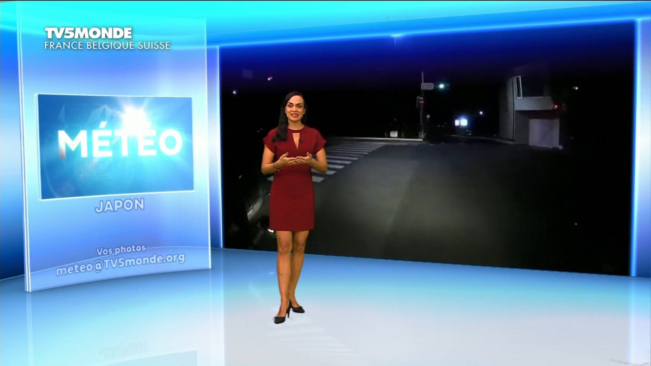 12.01 - 17.26.00 - Météo. Le bulletin météorologique international.ts_snapshot_10.11.307