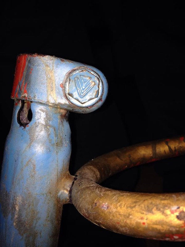 10736095_10203196973505683_1623877762_n