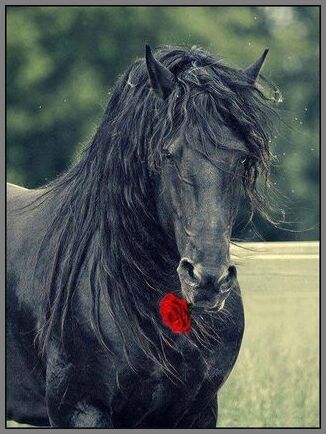 An den Beitrag angehängtes Bild: https://i.postimg.cc/3NSV8Rn5/donderdag.jpg