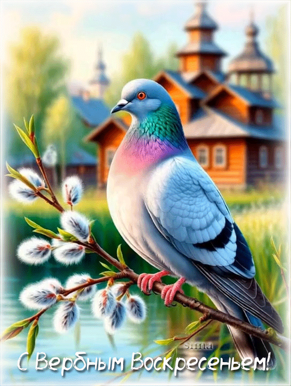 9dc0bdfb9d98e816432c106ab2f0c86c