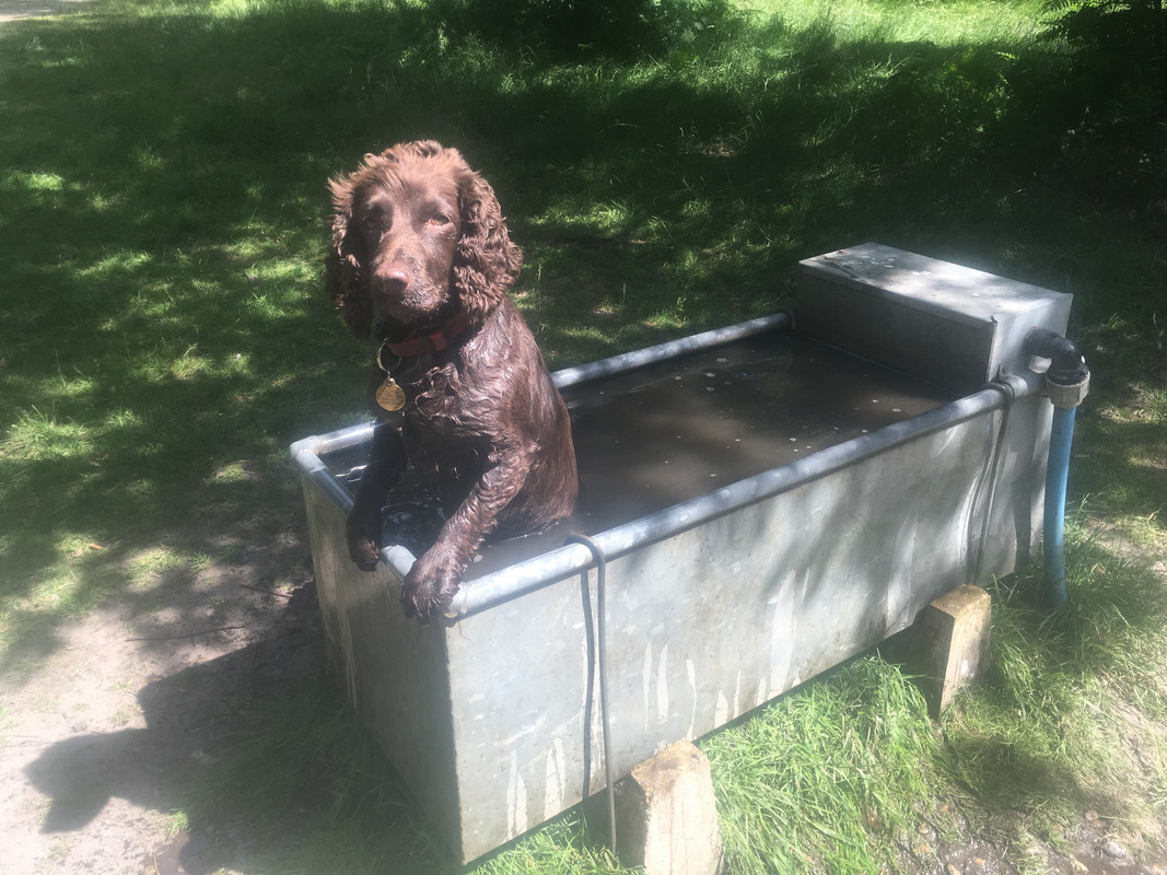 EF61C422-A403-4E3D-9A60-D8C6B7B15367