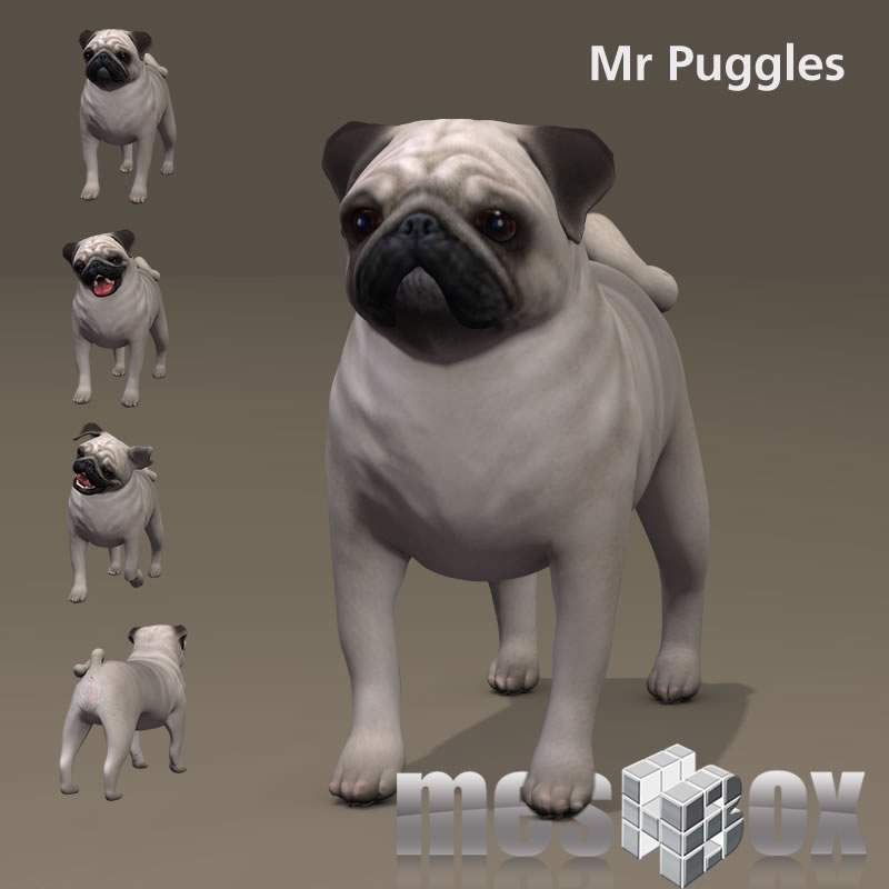 puggles