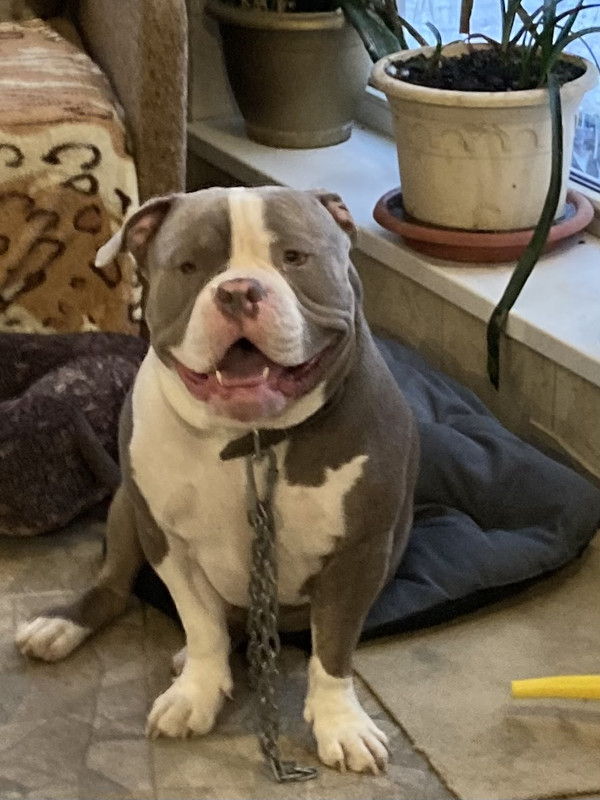 5953DAAB-815C-473E-8FFF-DC222C14F83D