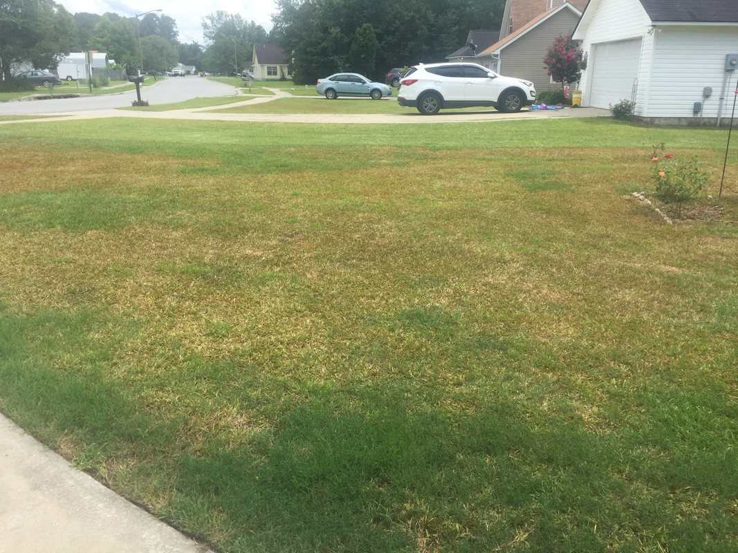 Scorched after Celsius 2, June 15, 2017