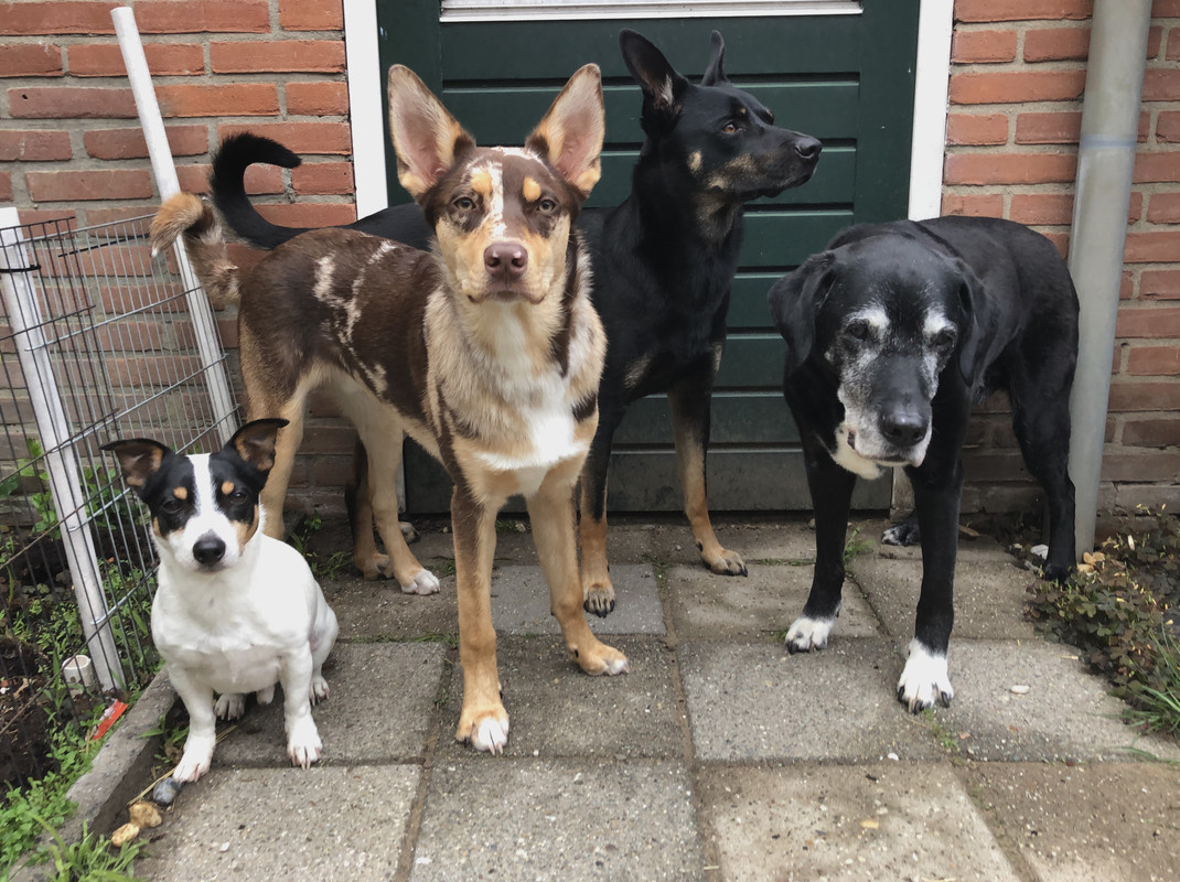 2E949794-5946-404F-8299-BFDB3EE7C656