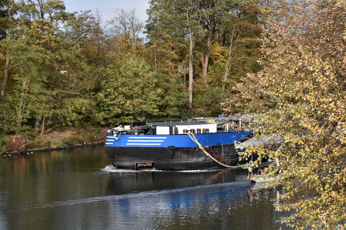 2021.10.31ha Naima (1940x1293)