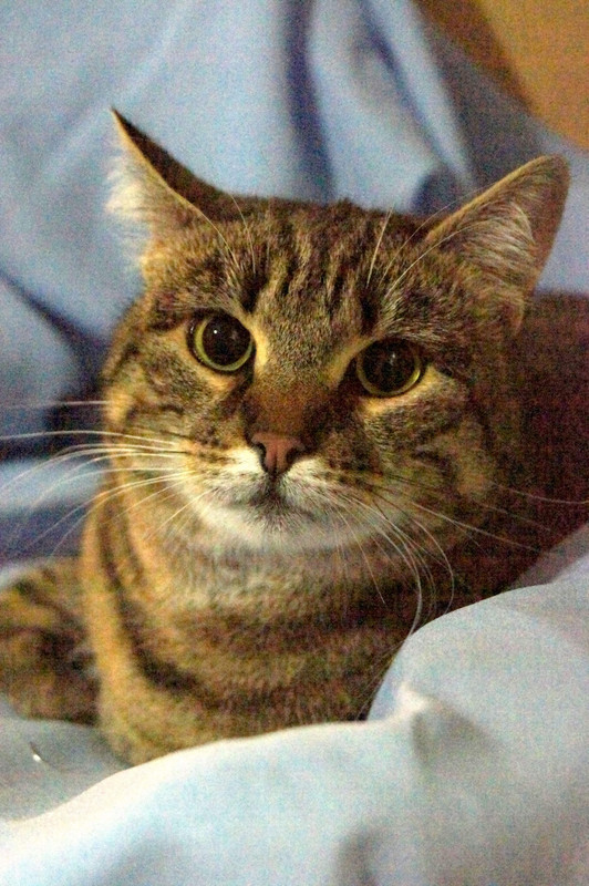 Матильда (9)