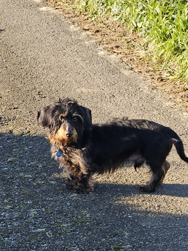 [Image: IMG-20250114-WA0003.jpg]