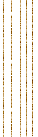 lignes-dorees-13or